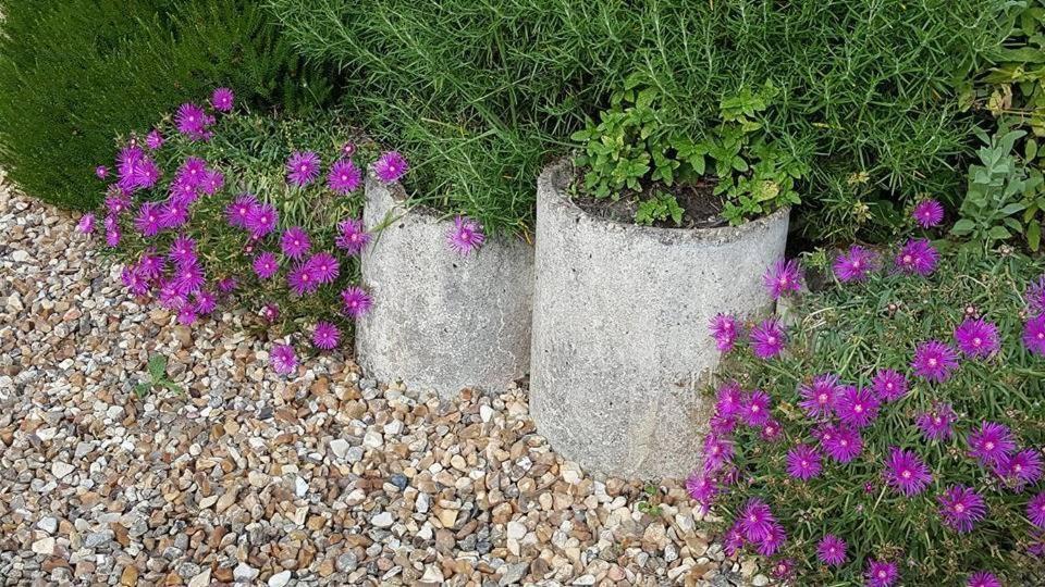 La Berceenne Jupilles المظهر الخارجي الصورة